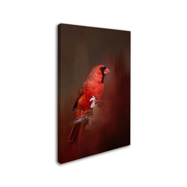 Jai Johnson 'Cardinal In Antique Red' Canvas Art,12x19